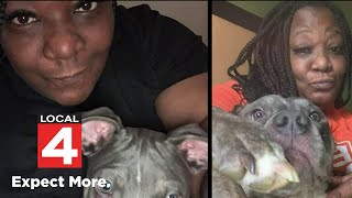 Detroit dog owner seeks answers after emotional support dog shot by police in backyard
