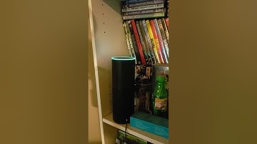 Alexa Goes All Skynet on Me