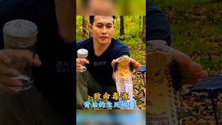 Download Lagu Racun namun bisa menjadi obat MP3 Download Lagu Racun namun bisa menjadi obat MP3