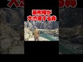 著作権が大渋滞する森