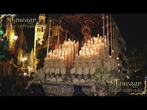 Real e Ilustre Hermandad Sacramental de la Inmaculada Concepción, Franciscana, Primitiva y Cisterciense Cofradía de Nazarenos de la Piedad de Nuestra Señora, Santísimo Cristo de la Buena Muerte, Santa María Magdalena y María Santísima de la Hiniesta Dolorosa y Gloriosa Coronada