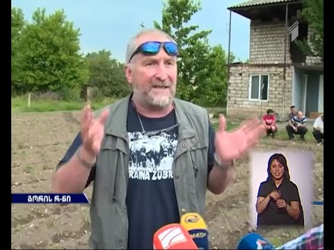 გორში მტაცებელი ცხოველის არსებობის შესახებ ინფორმაცია არ დადასტურდა