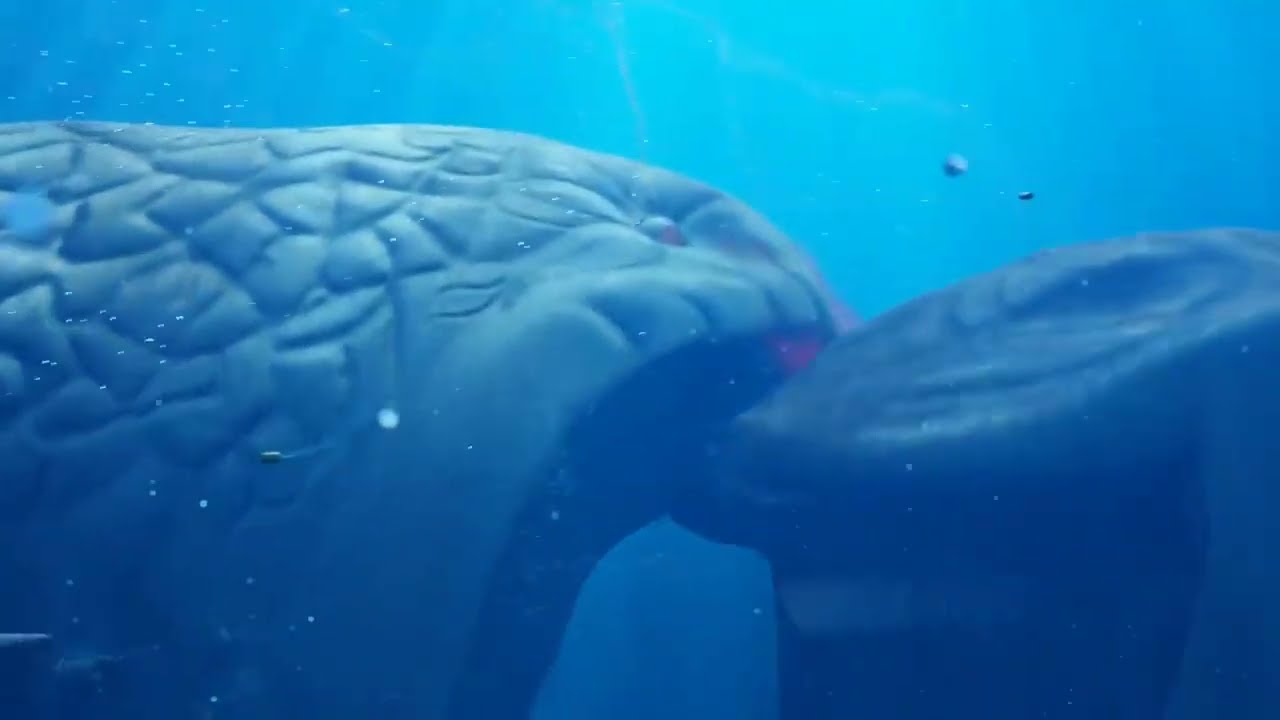 Mythical Sea Monsters The Bloop vs El Gran Maja