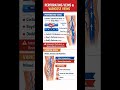 #anatomy #mbbs #nurse #bpt