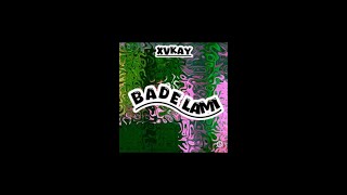 Download lagu XVKAY - Bade Lami (Visualizer)