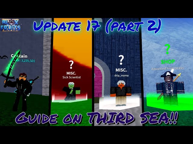 Blox Fruits) [Update 16] Things you must get on THIRD SEA!! 