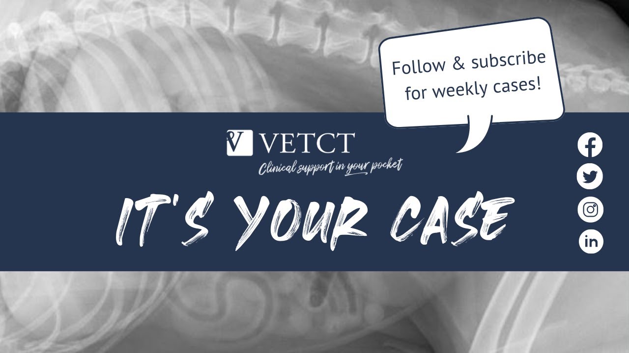 It's Your Case - Young cat with SH2 fracture post operative images