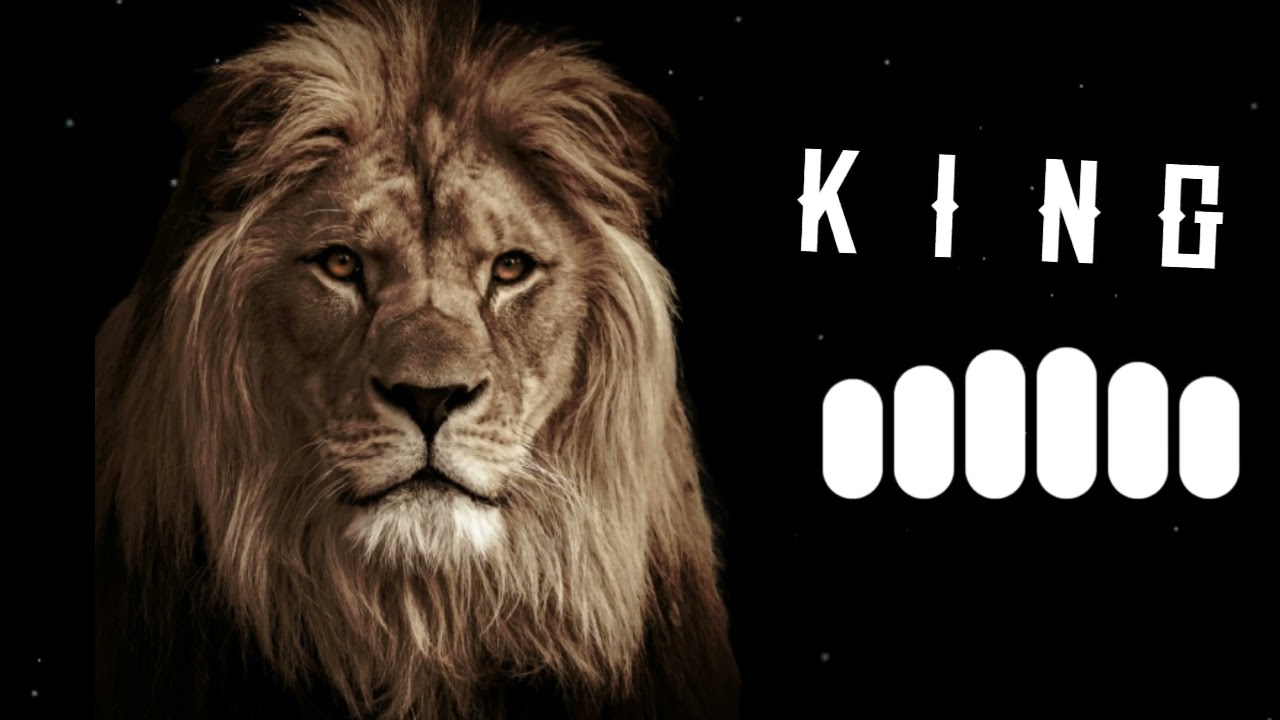 Alex Rush Ringtone: Fenomena Viral yang Mengguncang Dunia Digital