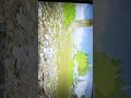 lần đầu chơi ark của mình