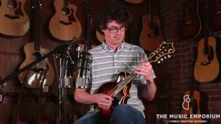 Gibson F5V Fern Varnish 2015 The Music Emporium