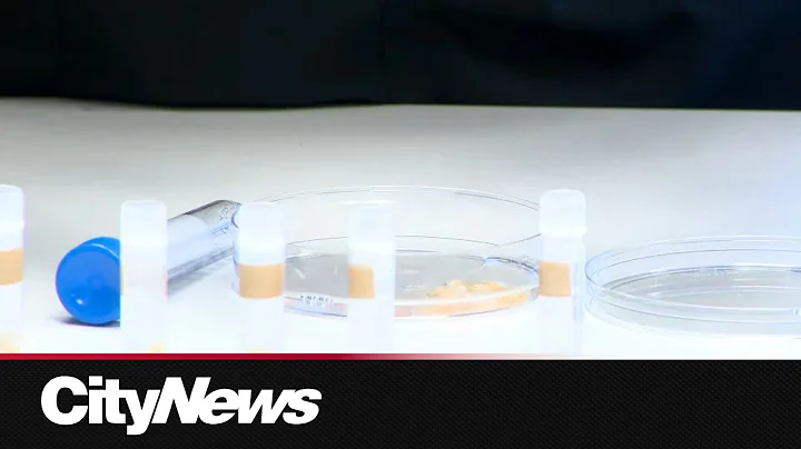 UCalgary researchers focus on fertility treatments for young cancer patients