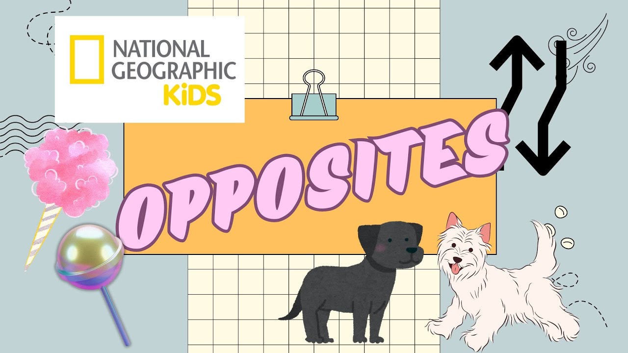 National Geographic Kids: Opposites | Educational Videos For Kids