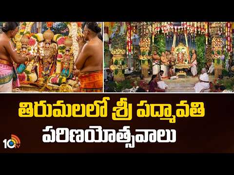 Sri Padmavathi Parinayotsavams in Tirumala | తిరుమలలో శ్రీ పద్మావతి పరిణయోత్సవాలు | 10TV - 10TVNEWSTELUGU