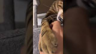 Real Move And 10 Times Slower