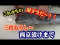 【生の銀ダラを入手しました！】冷凍が常識であった銀ダラが、今は生で手に入るのです♪