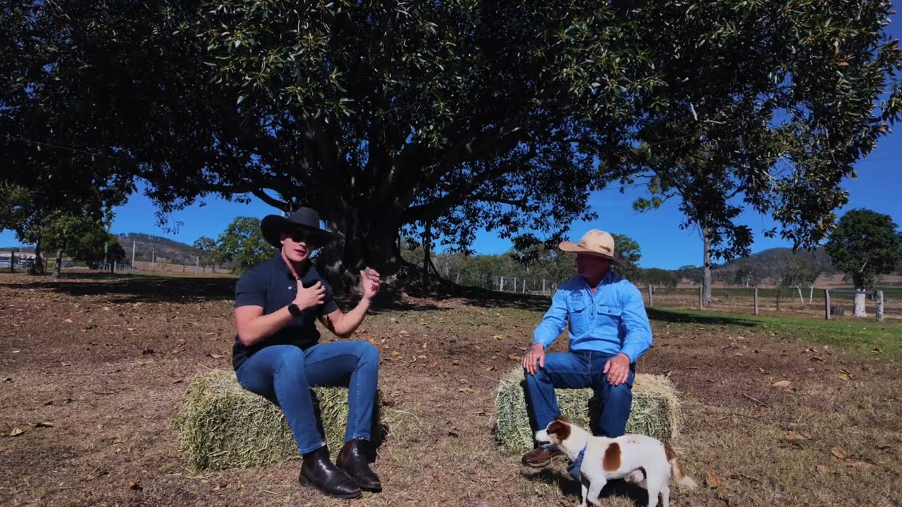Esk Beef | Four Generations, 90 Years, One Patch of Country