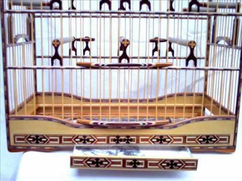 GAIOLAS DE COLEIRO João Gaiola_0001.wmv