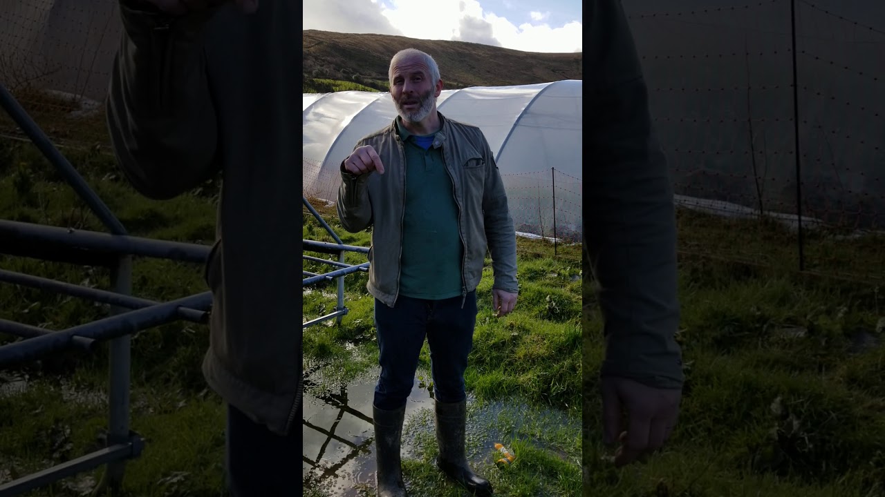 Thomas O'Connor  Manna Farms  Inventive Salad Washer for his Biodynamic greens