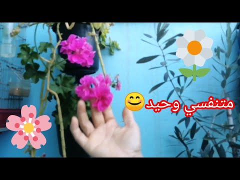 شاركوني التغير من حيث سطح إلى الغرفة خاصة الأولاد مع إضلالة على نباتاتي😊❤️🌺🌹