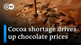 Chocolate prices soar this Easter | DW News