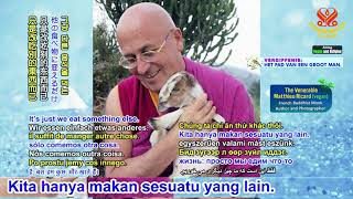 VR : Jadilah Vegan – Jadilah Praktisi Sejati, Bagian 2 dari 2