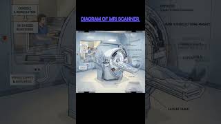 DIAGRAM OF MRI SCANNER!!#mri #mriscan #mrimachine #mrimperfect #ytshorts #shorts #short #diagram