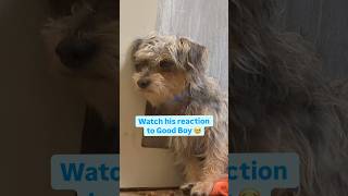 Watch his Reaction to ‘Good Boy’ 🥹