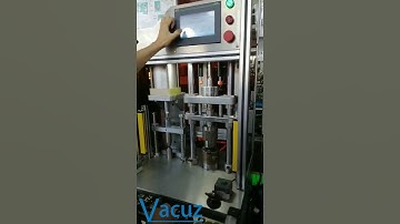 High Precision Vacuz Automatic Motor Stator Coil Bearing Pressing Insertion Assembly Machine Price