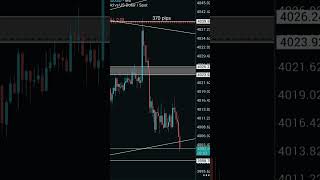 XAUUSD setup _ Forex pro trader _ live results #xauusdtrader #trading #justforex #forexexchange
