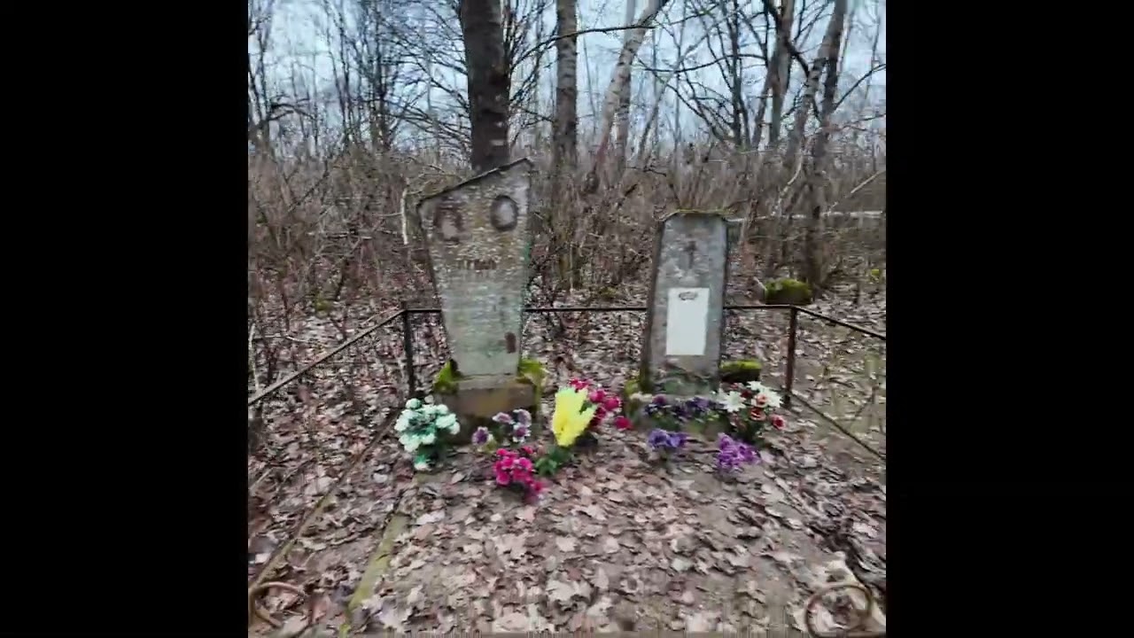 На заброшенном старом кладбище конец 2025года