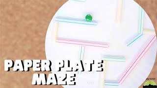 Paper Plate Maze
