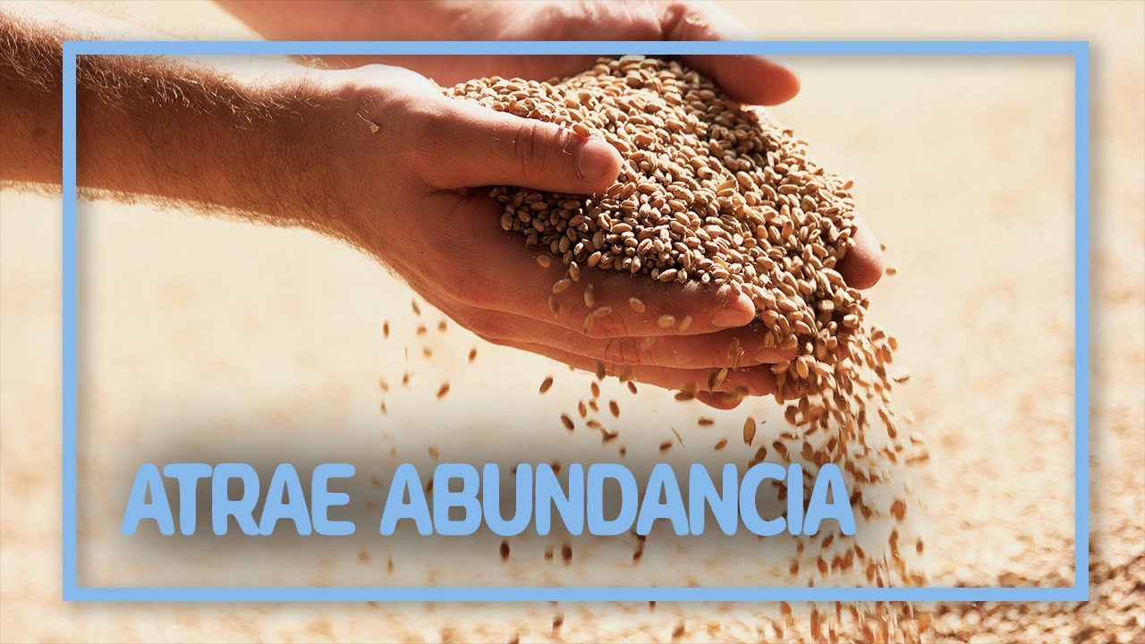 33 Afirmaciones para la ABUNDANCIA en tu vida 🙏 - YouTube