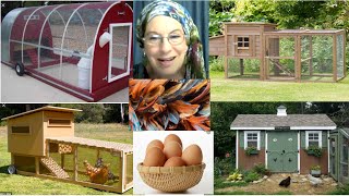 Chickens pt 2: Practicalities of Home Production of Eggs