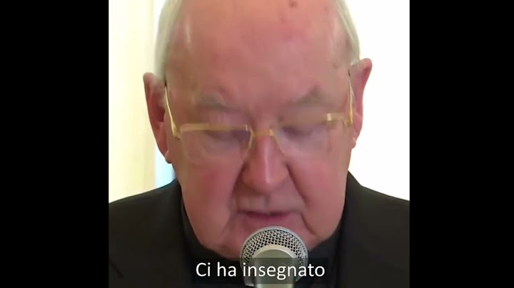 🌍 Papa Francesco è morto: L'addio al Pontefice | Tributi e ricordo del suo pontificato