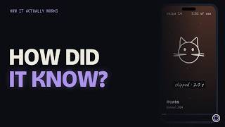 How the TikTok Algorithm Learns You in Just a Few Swipes