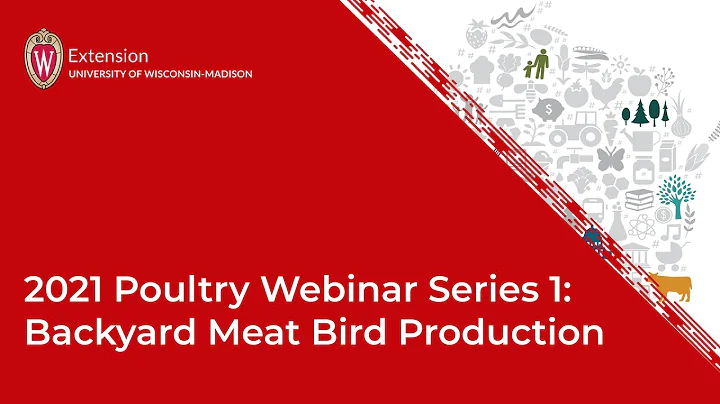 2021 Poultry Webinar Series 1:Backyard Meat Bird P...