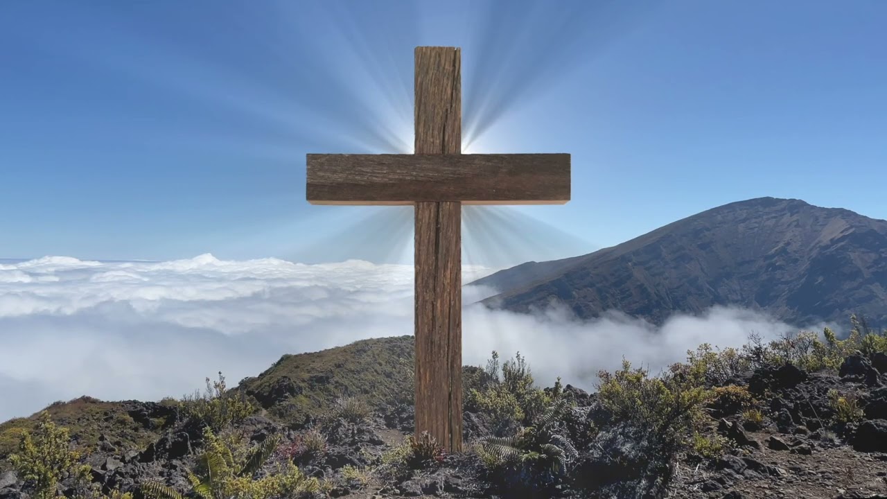 Don't Be Surprised Be Wise