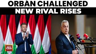 Péter Magyar’s Rapid Rise: Hungary’s New Challenger to Orbán | Political Shake-Up in Hungary