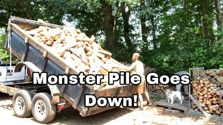 I’ll never do that again! 10 cords later…..