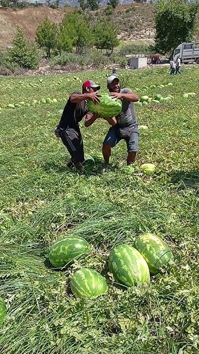 Погрузка 🍉 - YouTube