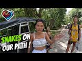 Snakes hot springs and beach all attractions for misiek from poland  isla pamilya  philippines