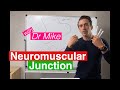 Neuromuscular Junction Neuromuscular Junction