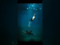 tag some one || Lofi_world@007 || #song #songs #love