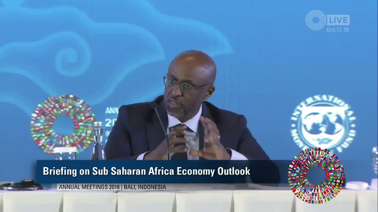 Still from Press Briefing: Regional Economic Outlook for Africa