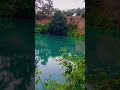 شد زندگانی زندان غم دریای اشک چشمان من ای عمر شیرین ازتو سیرم بگذر ازمن تا بمیرم