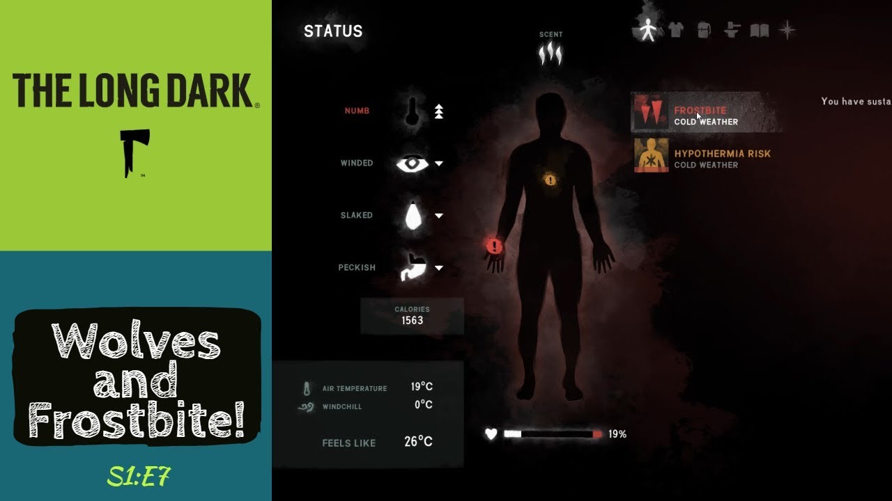 The Long Dark - Wolves and Frostbite?