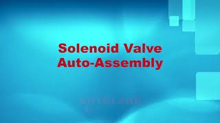 Solenoid Valve Auto-Assembly