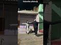 Total Bhoot 💀👻 Dance#funny #explore #viral