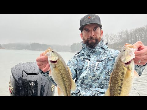 Lake KEOWEE BASS tournament (BFL)