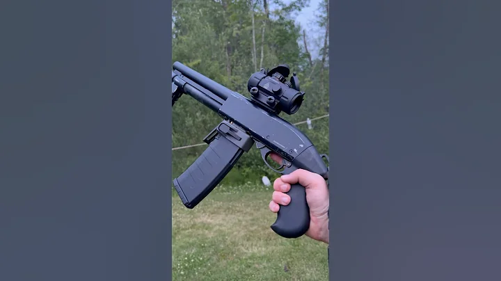 Shotgun or AR? #shorts